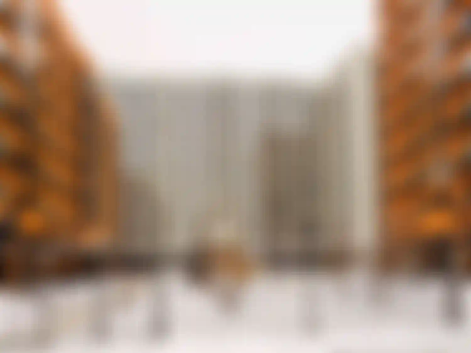 Изображение галереи