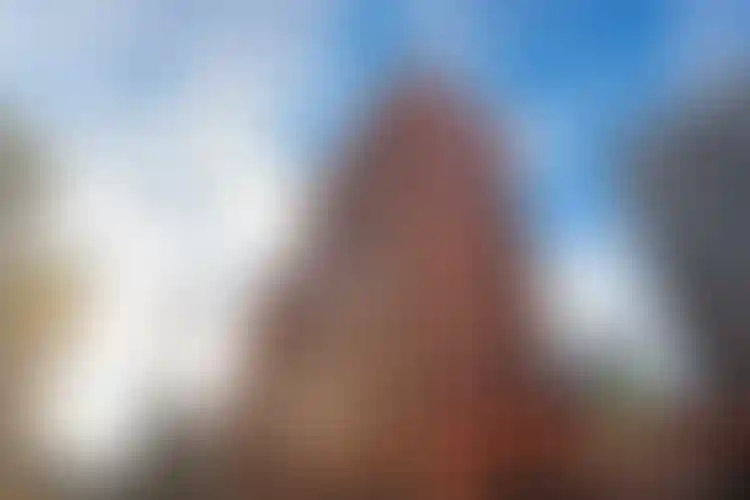 Изображение галереи