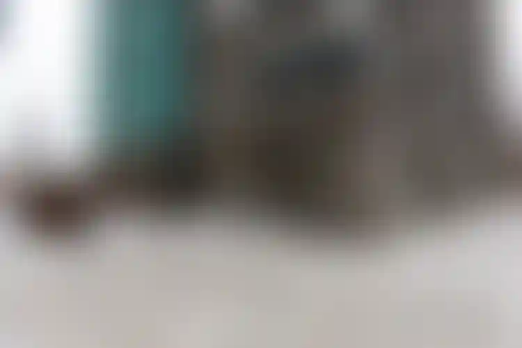 Изображение галереи