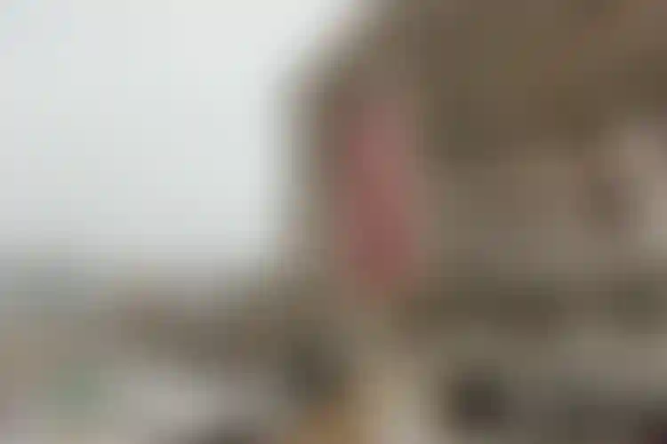 Изображение галереи