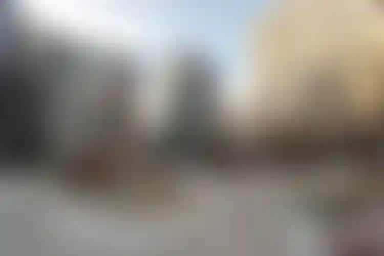 Изображение галереи