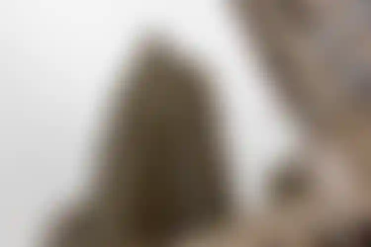 Изображение галереи