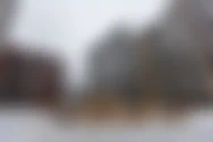 Изображение галереи