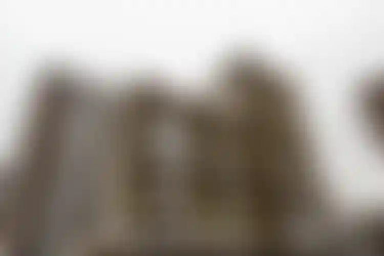 Изображение галереи