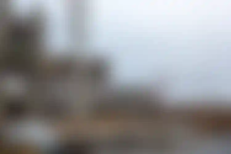 Изображение галереи