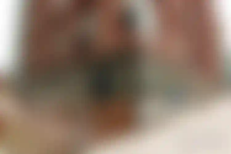 Изображение галереи