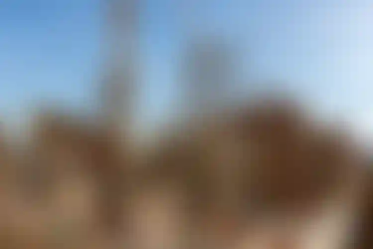 Изображение галереи