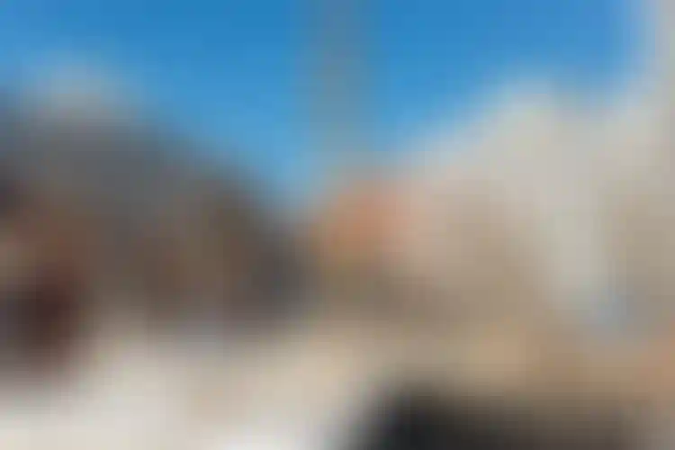 Изображение галереи