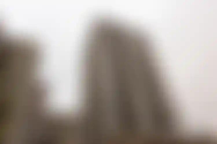 Изображение галереи