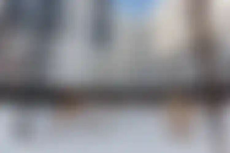 Изображение галереи