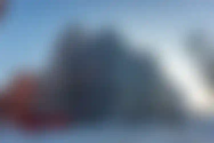 Изображение галереи