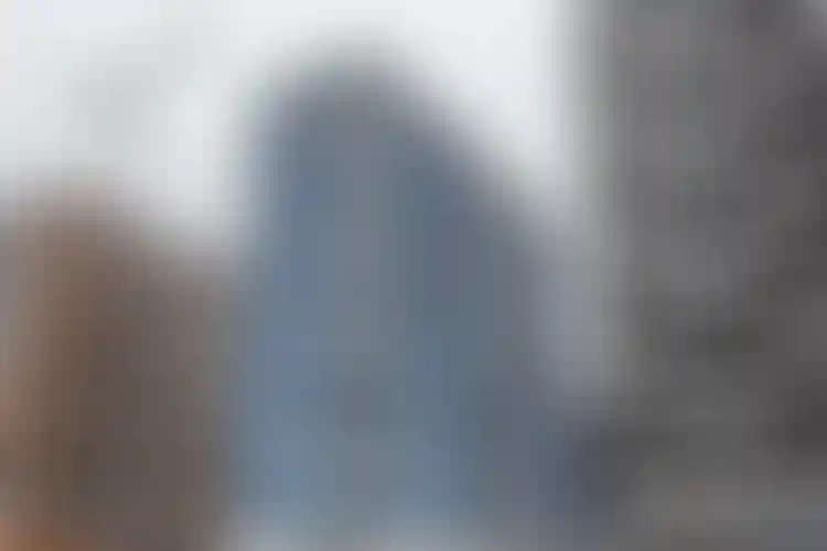 Изображение галереи