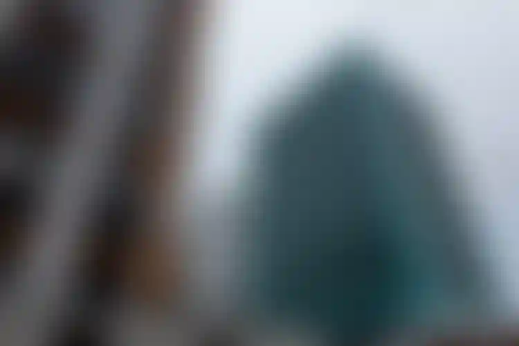 Изображение галереи