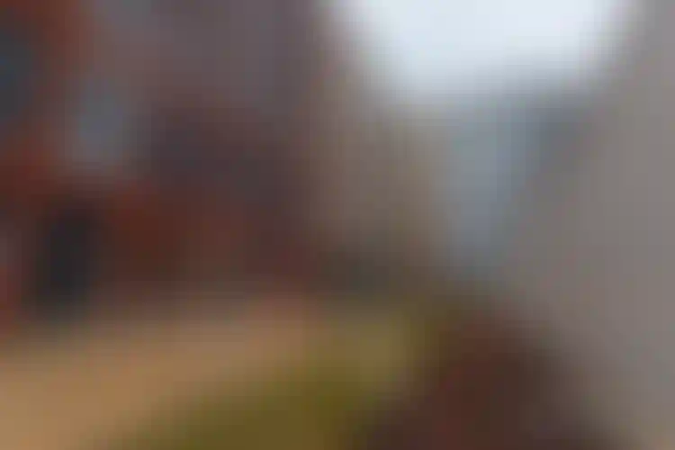 Изображение галереи