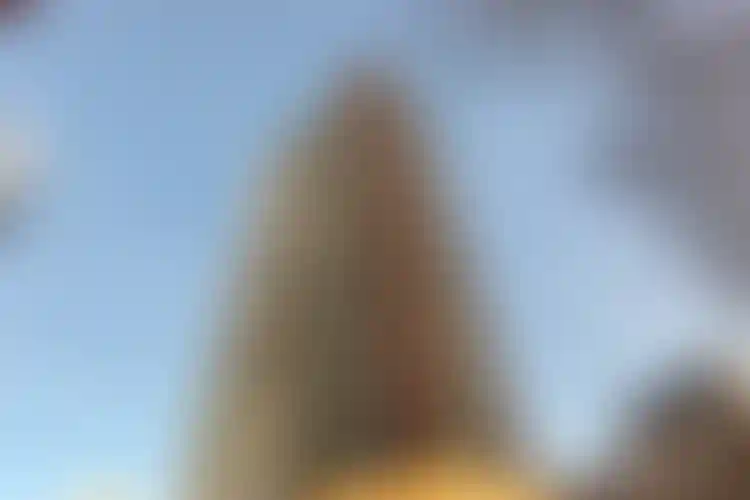 Изображение галереи