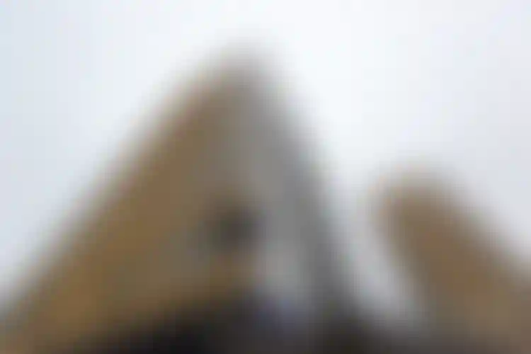 Изображение галереи