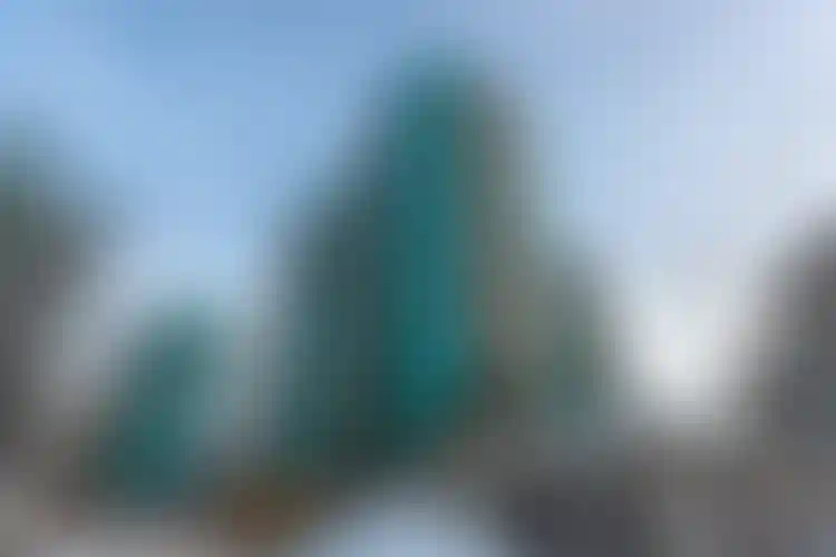 Изображение галереи