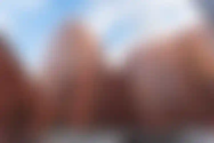 Изображение галереи