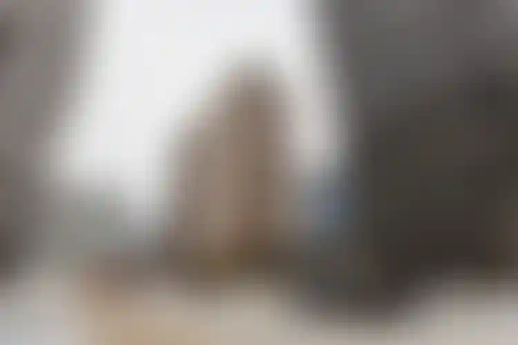 Изображение галереи