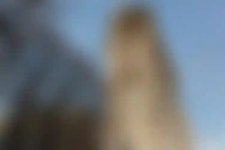 Изображение галереи