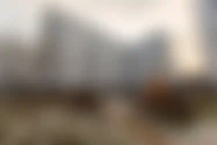 Изображение галереи