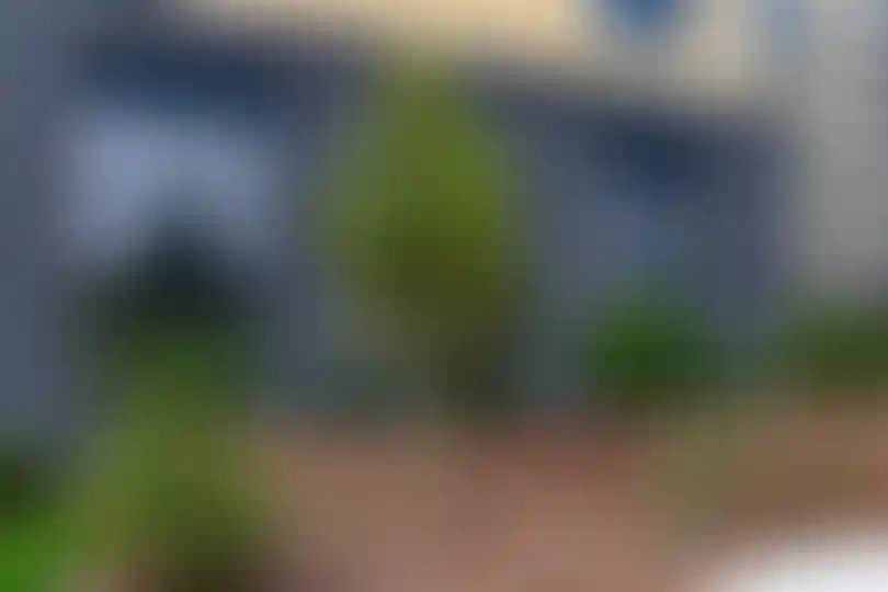 Изображение галереи