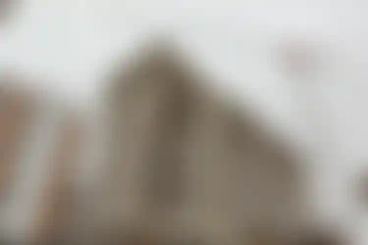 Изображение галереи