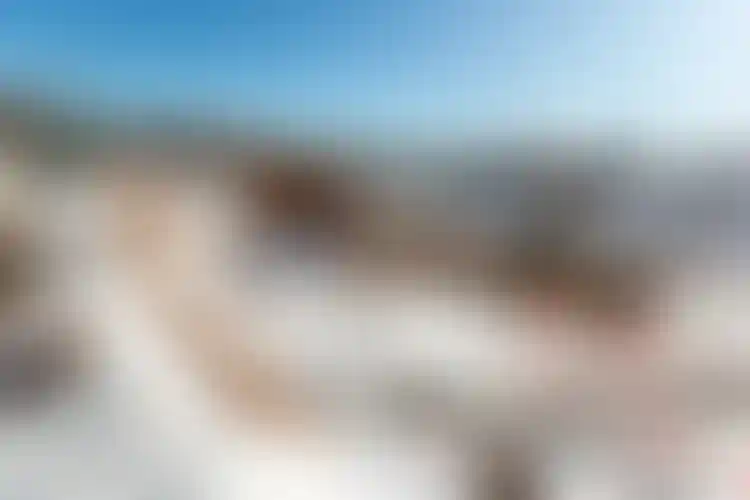 Изображение галереи