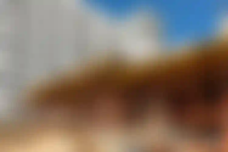 Изображение галереи