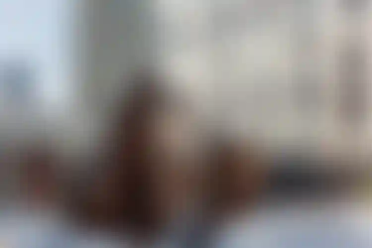 Изображение галереи