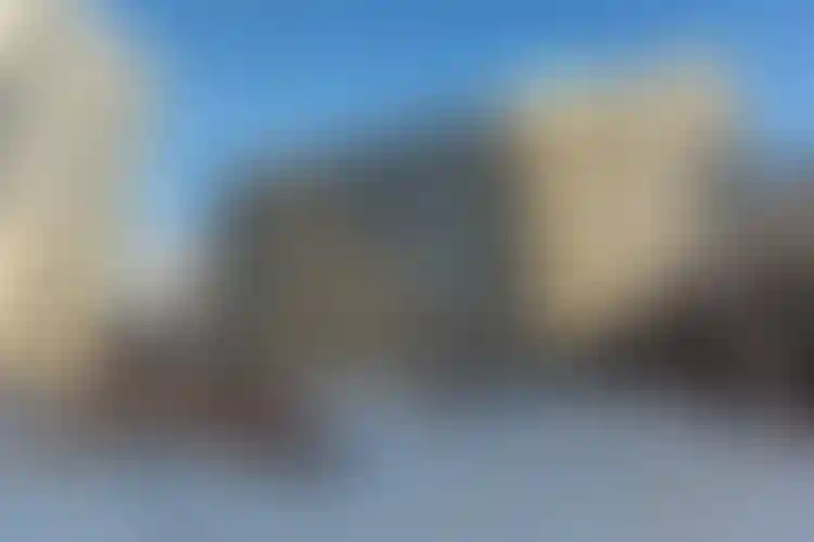 Изображение галереи