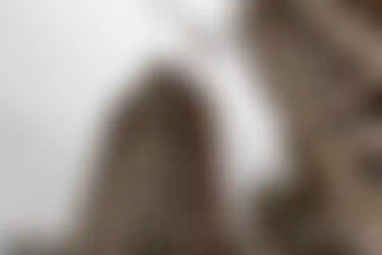 Изображение галереи