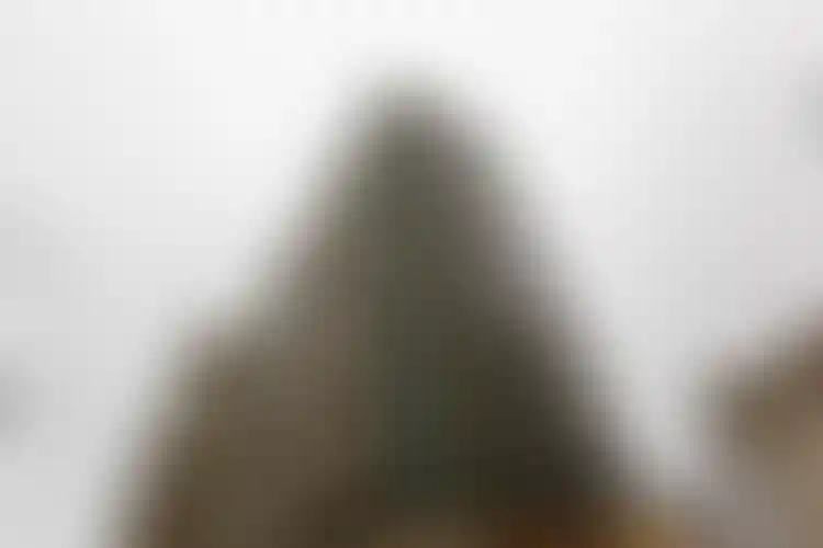 Изображение галереи