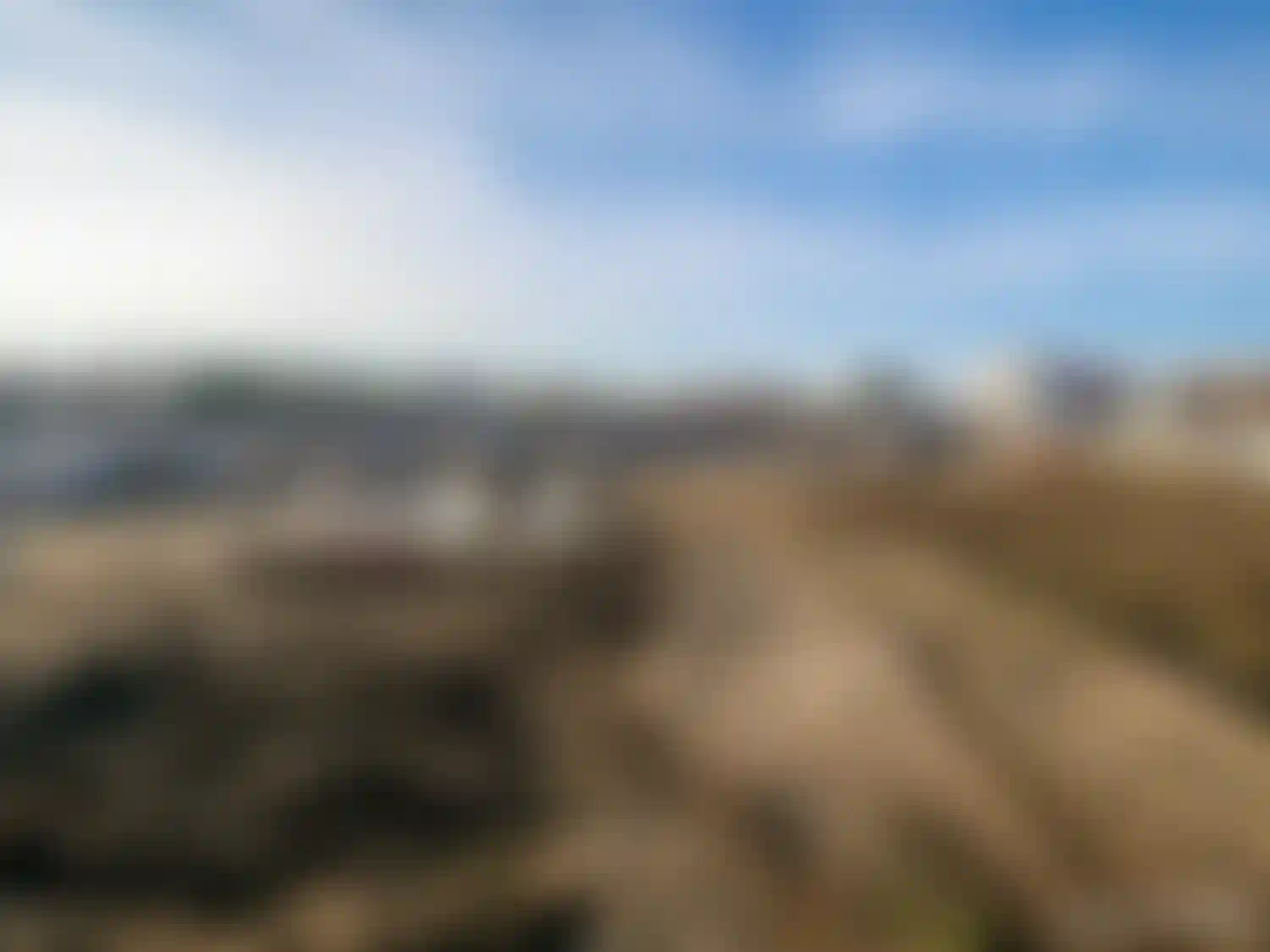 Изображение галереи