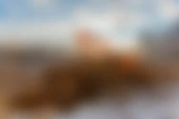 Изображение галереи