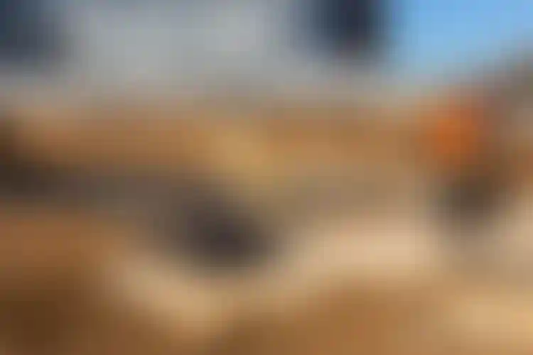 Изображение галереи