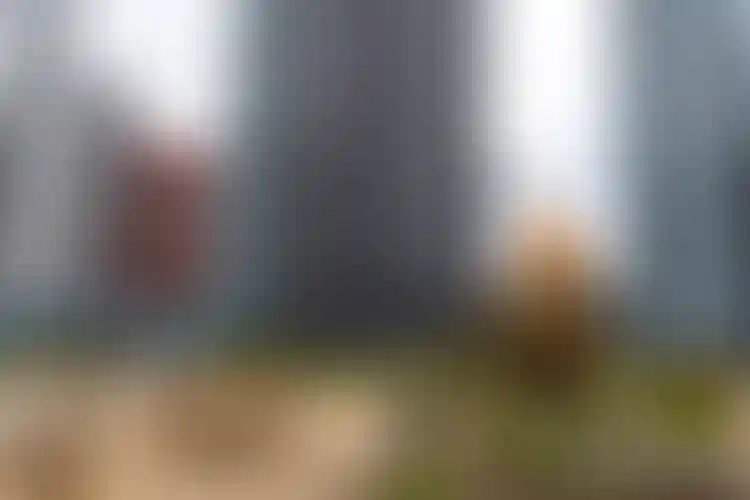 Изображение галереи