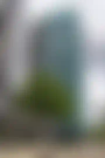 Изображение галереи