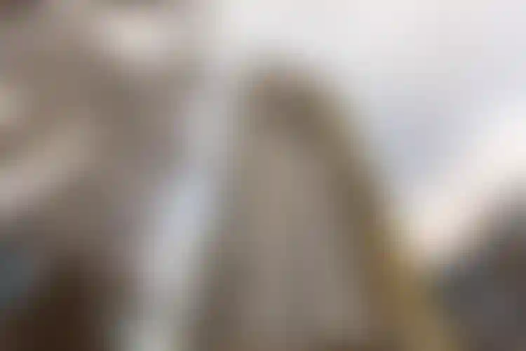 Изображение галереи