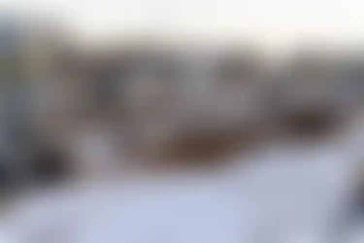 Изображение галереи