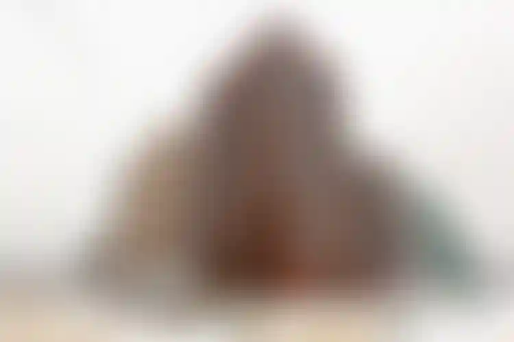 Изображение галереи