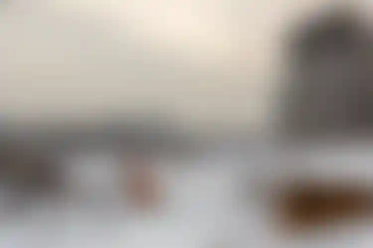 Изображение галереи