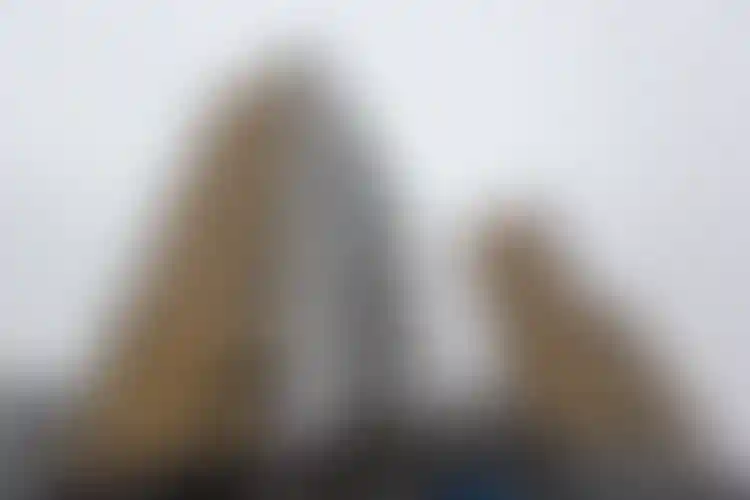 Изображение галереи