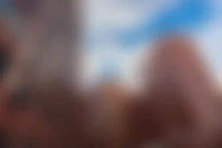 Изображение галереи