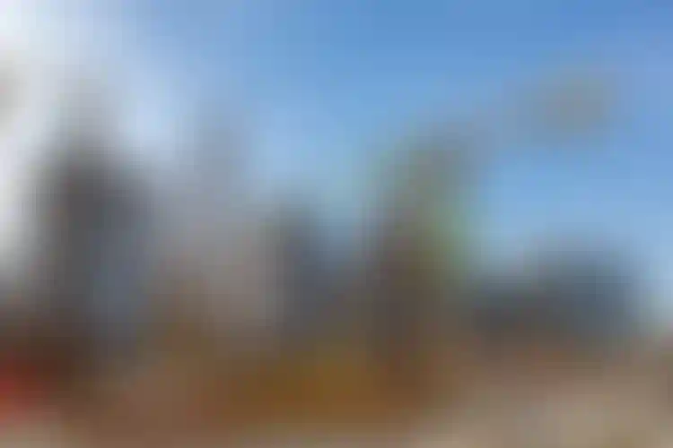 Изображение галереи