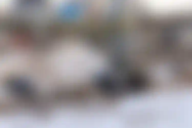 Изображение галереи