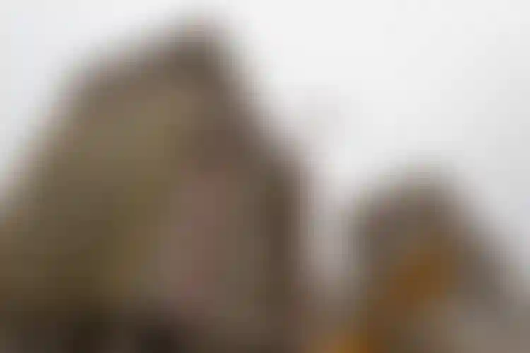 Изображение галереи