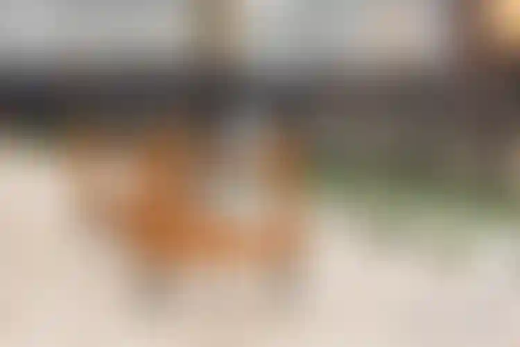 Изображение галереи