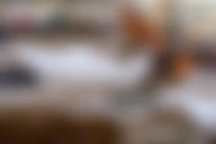 Изображение галереи