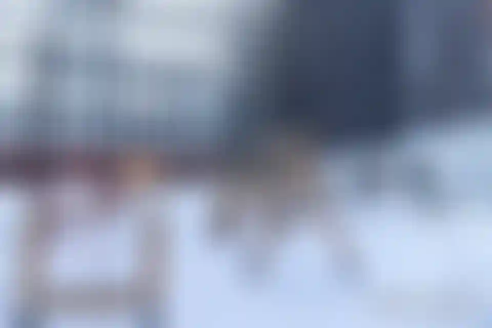 Изображение галереи